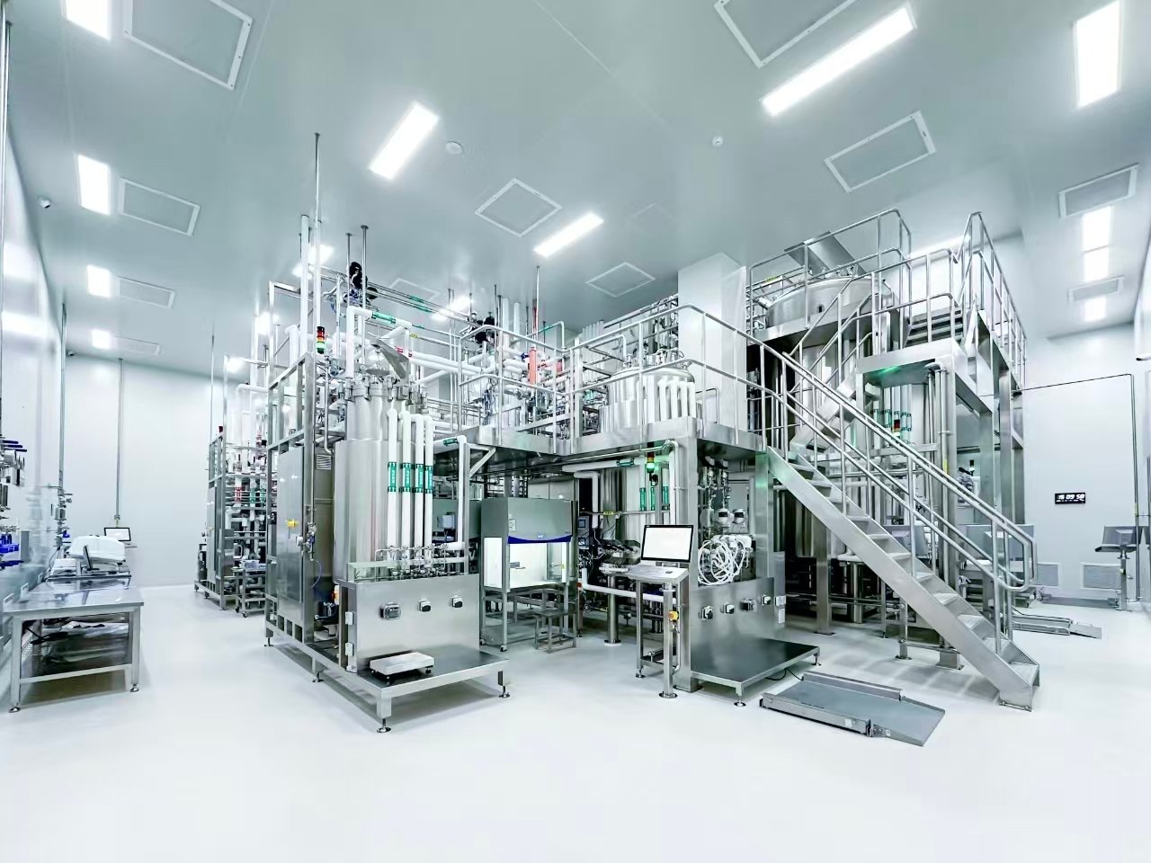 Challenging Recombinant Protein Purification Strategies and Practical Cases