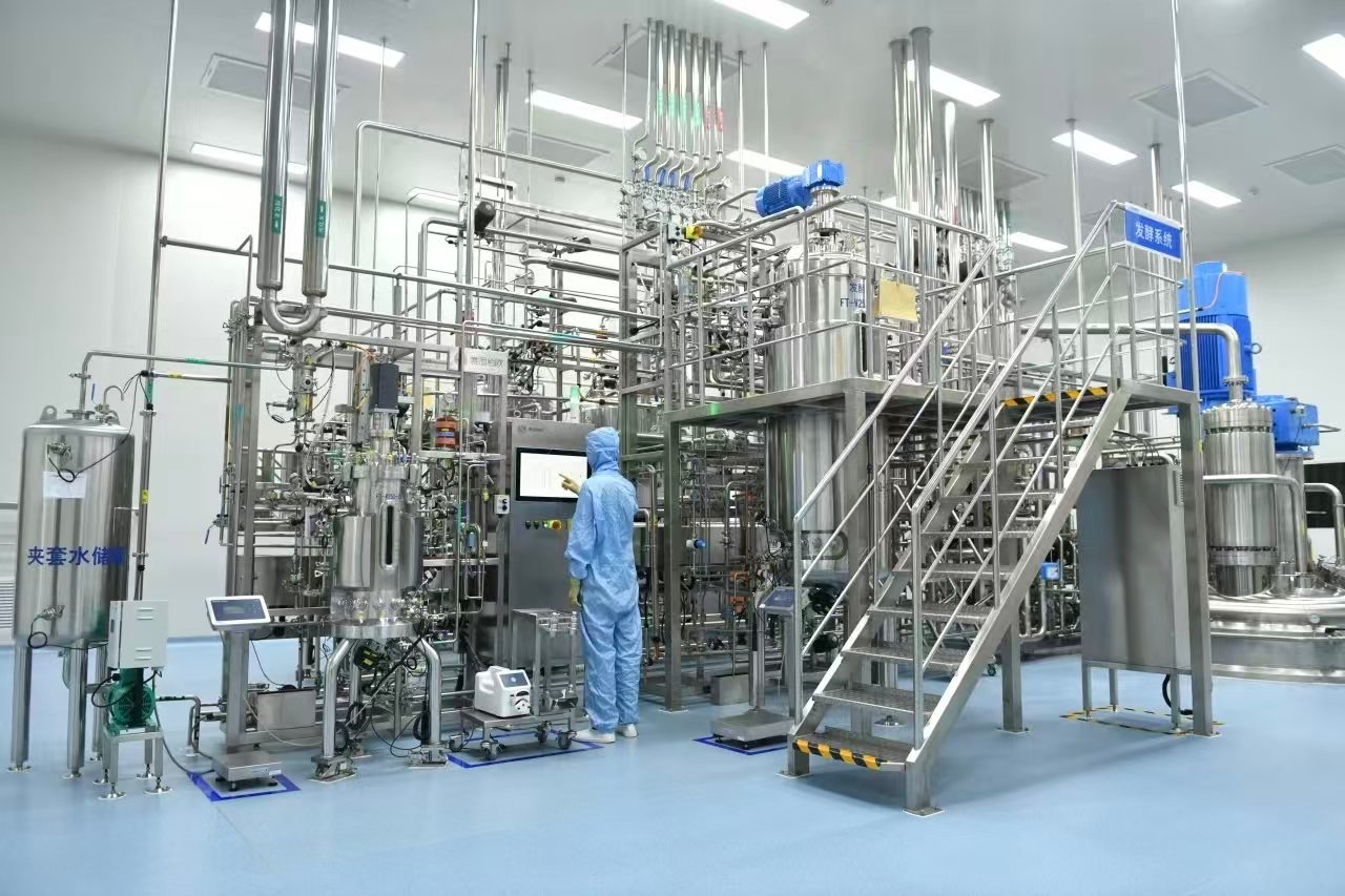 Yeast Cells for Recombinant Proteins: From Cellular Engineering to Process Scaling